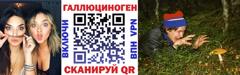 Галлюциногенные грибы ЛСД  Тайшет 